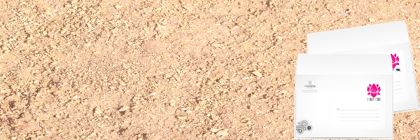 Buste Intestate 16x23 con strip a colori solo fronte