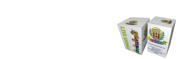 Trasportini per piccoli roditori e uccelli