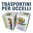 Il trasportino pratico di cartone con appositi buchi di aerazione
serve a trasportare con estrema facilità il tuo volatile,
roditore, canarine, pappagallino
stampati, fustellati, ed incollati.
Semplice da usare e rapido da chiudere
Formato 8x8x12 cm