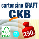 Cartoncino Kraft CKB 290 gr