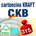 Cartoncino Kraft CKB 315 gr